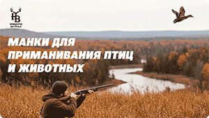 HUNTBOX